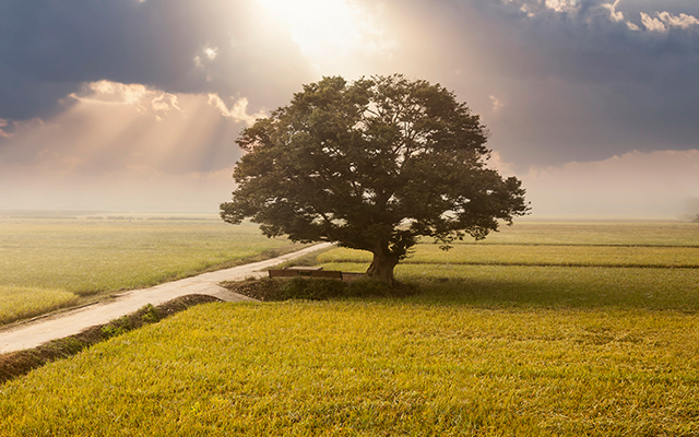 20221011102950_FveEXbgZ.jpg_carousel_부천심리언어_마음심리언어연구소,부천심리언어,부천언어치료,부천모래놀이치료,부천발달센터,부평모래놀이,인천모래놀이,부천,부평,인천,심리상담,놀이심리상담,가족상담